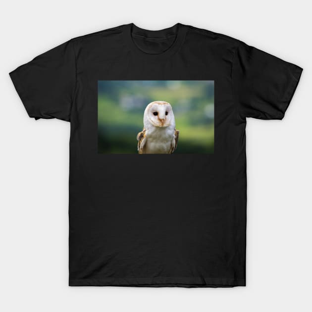 Barn Owl T-Shirt by Russell102